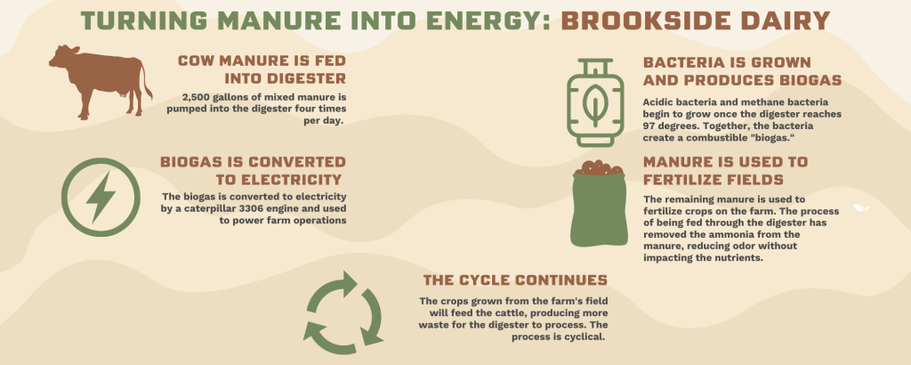 Brookside Dairy Infographic